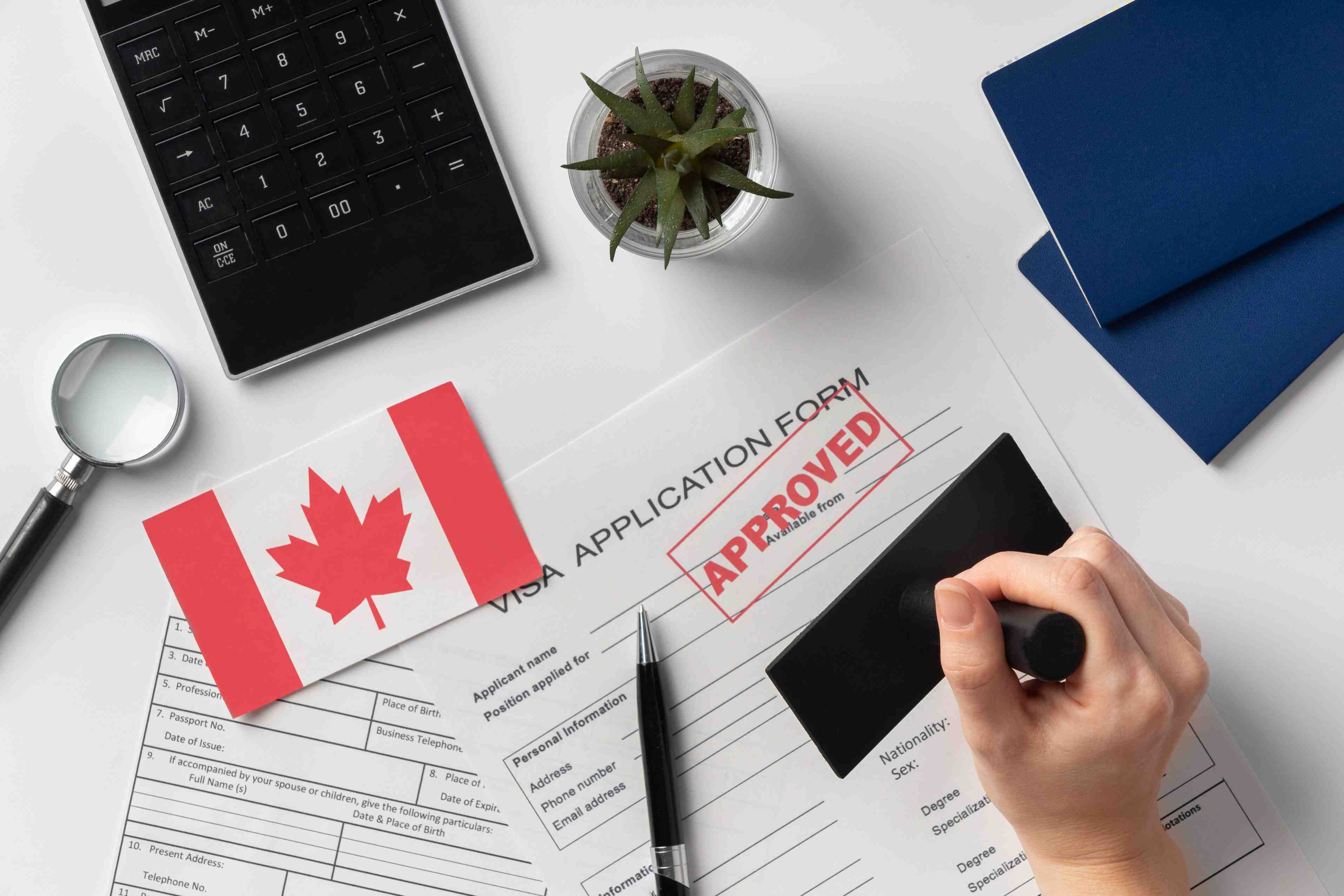 Foreign Travel Consultation